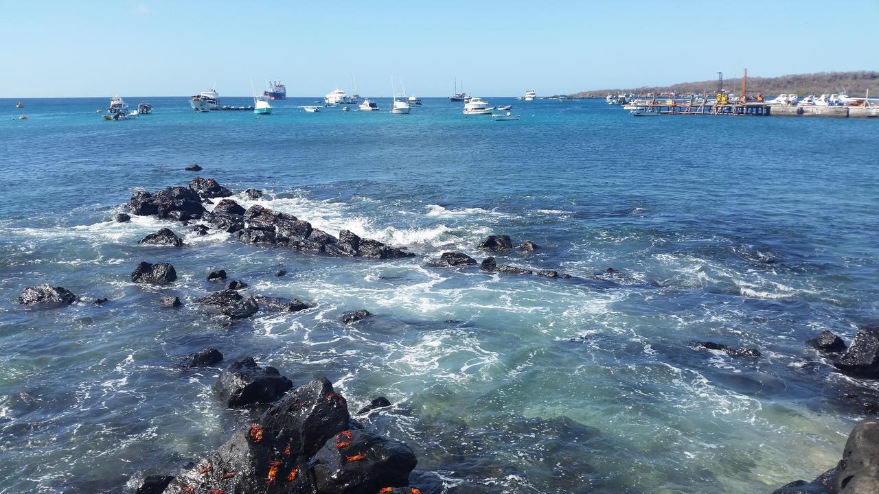 Hostal Romy Puerto Baquerizo Moreno Eksteriør bilde