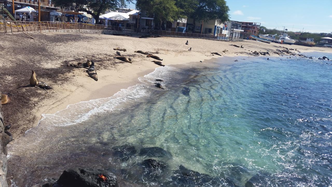 Hostal Romy Puerto Baquerizo Moreno Eksteriør bilde